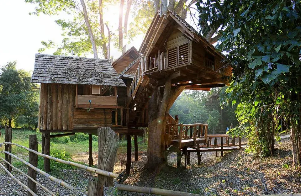 treehouse hotel chiang mai